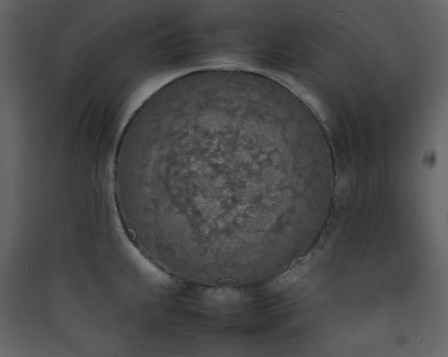 X0000090411239200707131140
