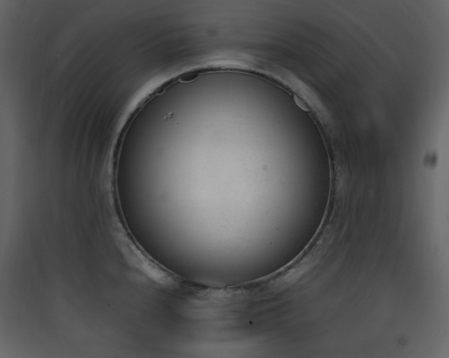 X0000090411240200707131140