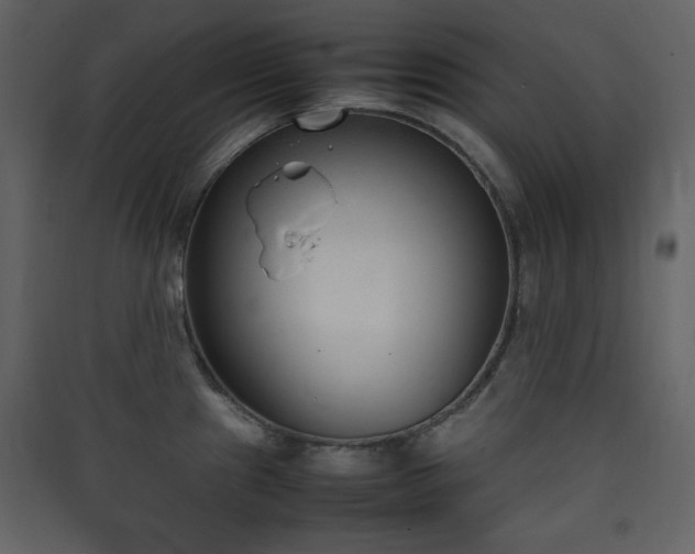 X0000090411241200707131140