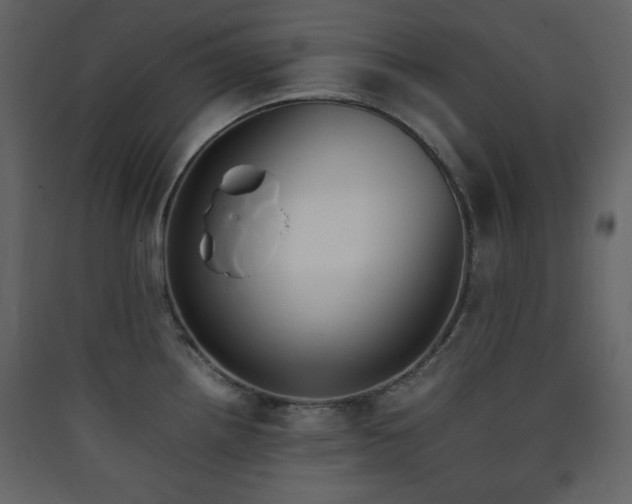 X0000090411242200707131140