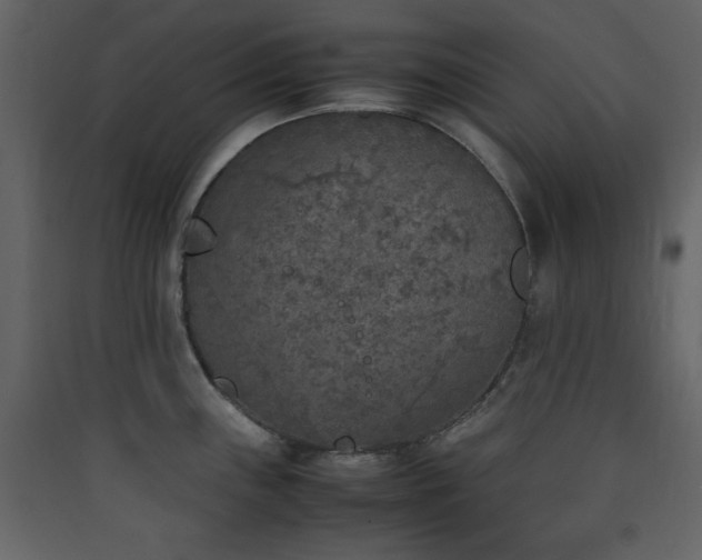 X0000090411243200707131140