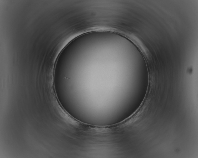X0000090411244200707131140