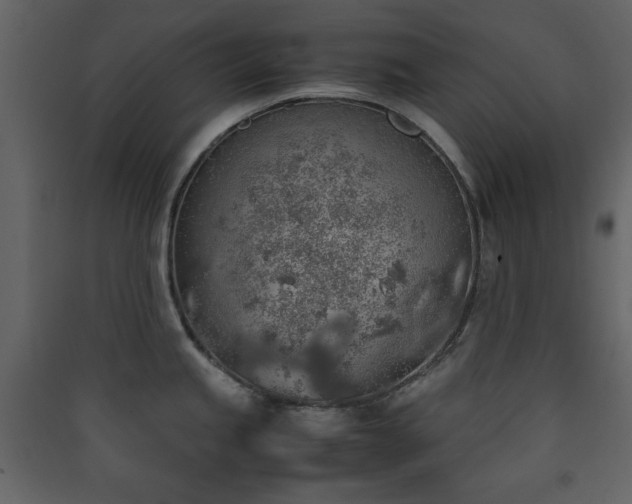 X0000090411245200707131140