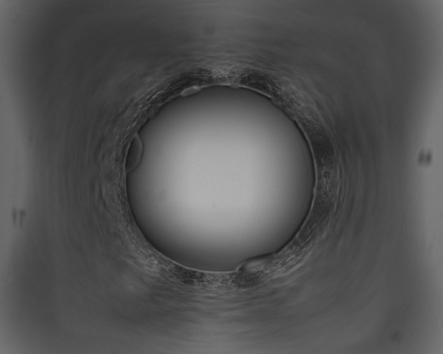 X0000090411249200707131139