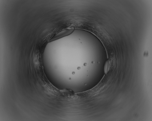X0000090411250200707131139