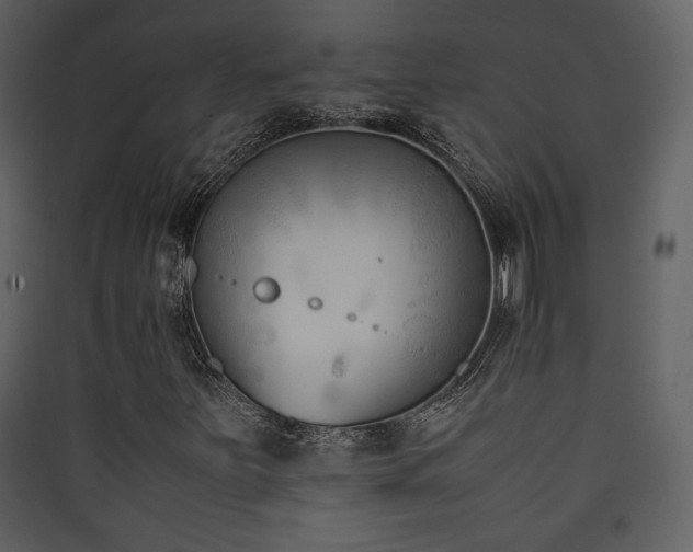 X0000090411251200707131139