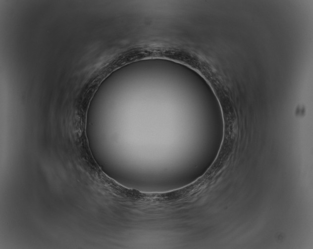 X0000090411253200707131139