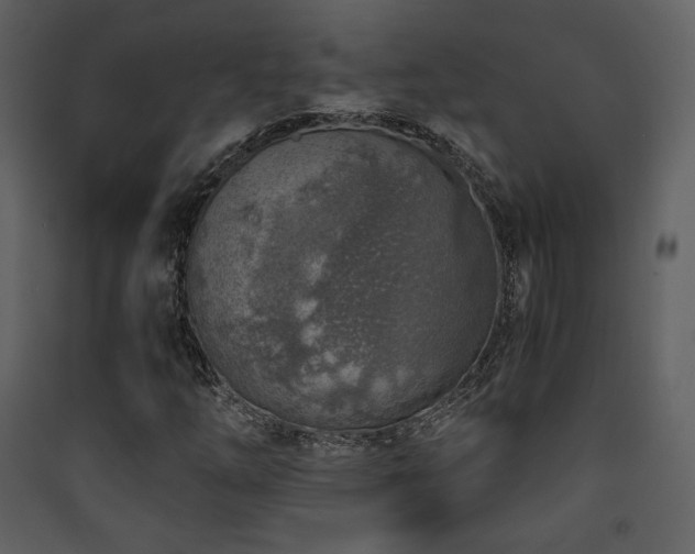 X0000090411254200707131139