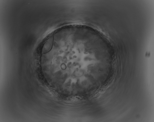 X0000090411255200707131139