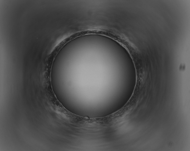 X0000090411256200707131139