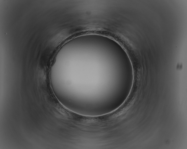 X0000090411257200707131139