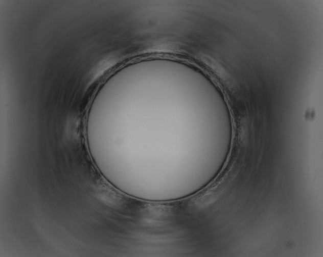 X0000090411258200707131139