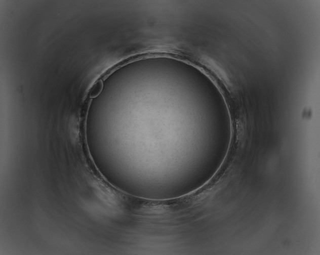 X0000090411260200707131139