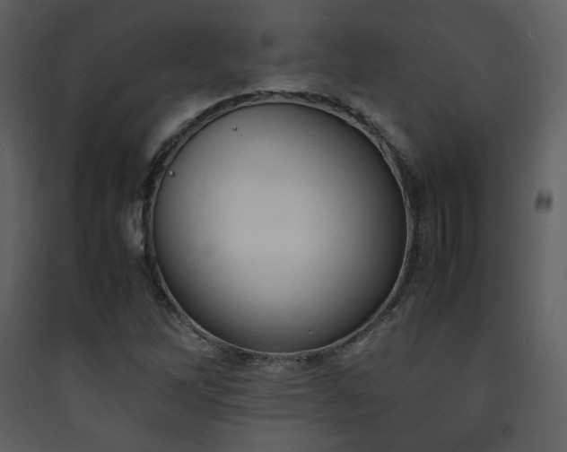 X0000090411262200707131139