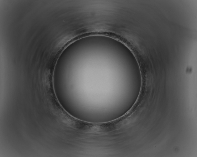 X0000090411265200707131139