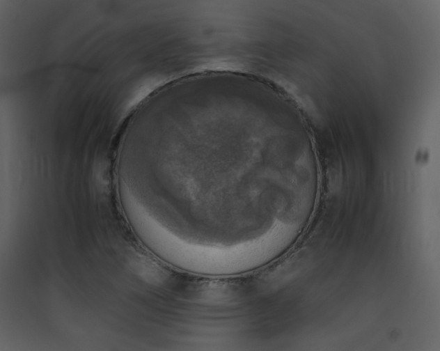 X0000090411266200707131139