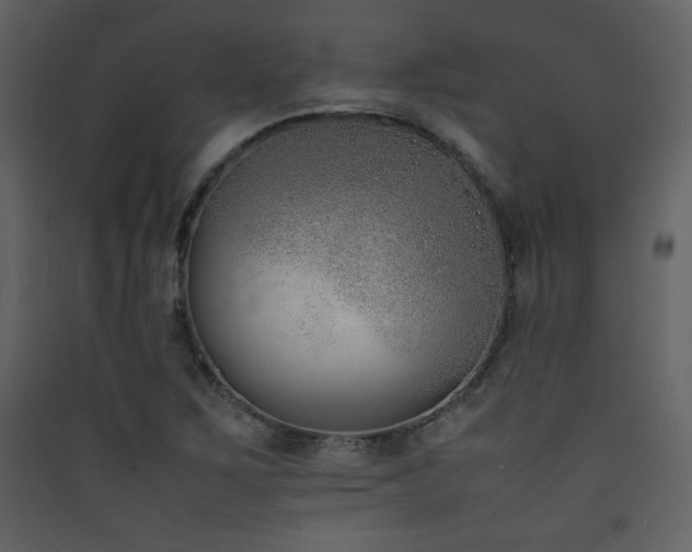 X0000090411267200707131139