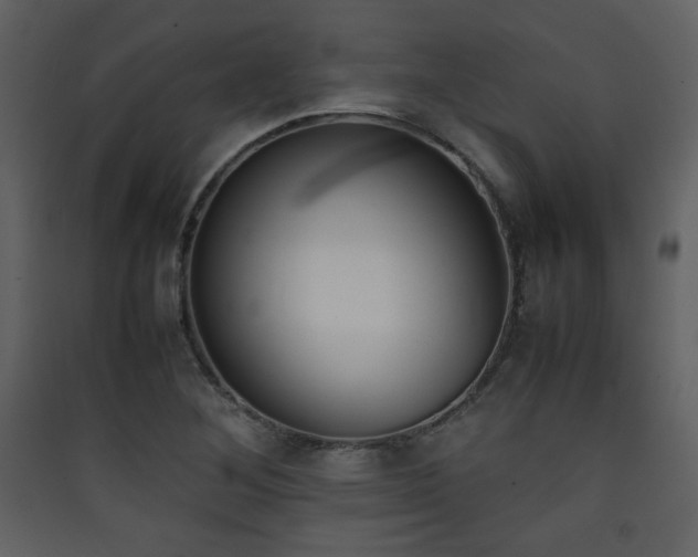 X0000090411268200707131139