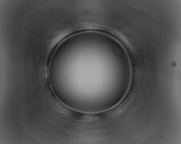 X0000090411269200707131139