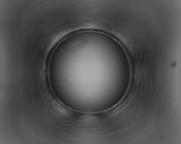 X0000090411270200707131139
