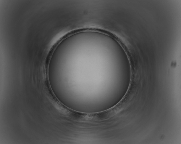 X0000090411271200707131139