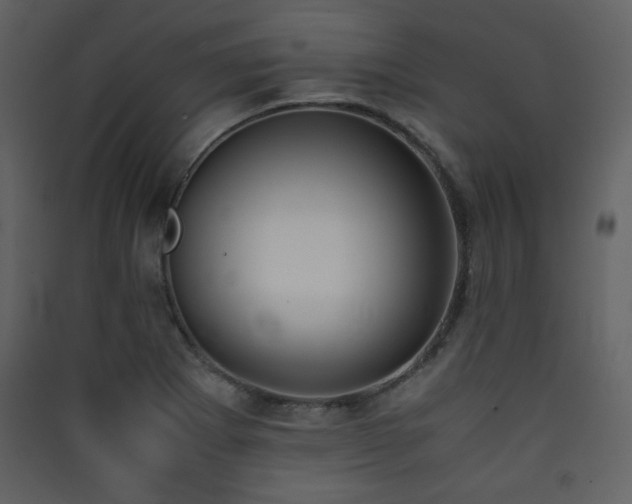 X0000090411273200707131139