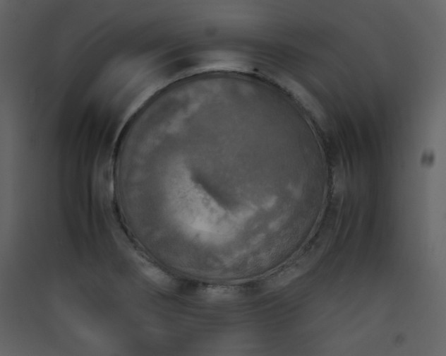 X0000090411274200707131139