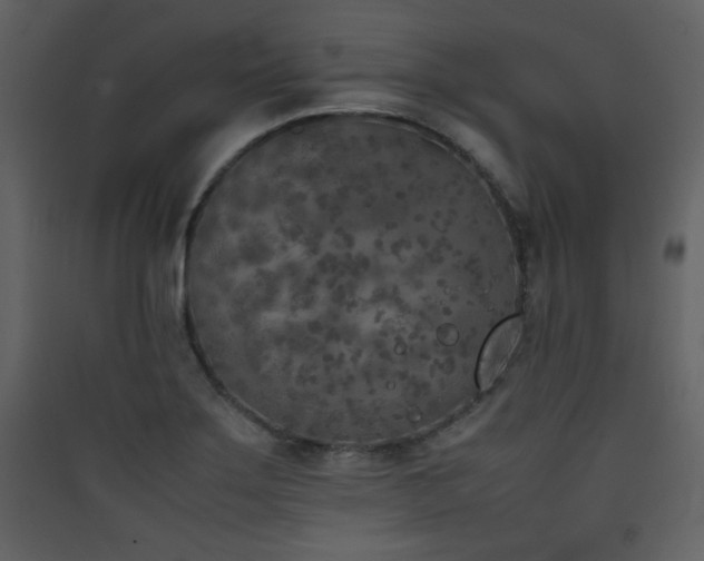 X0000090411275200707131139