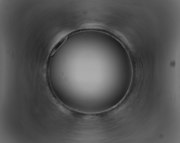 X0000090411277200707131139