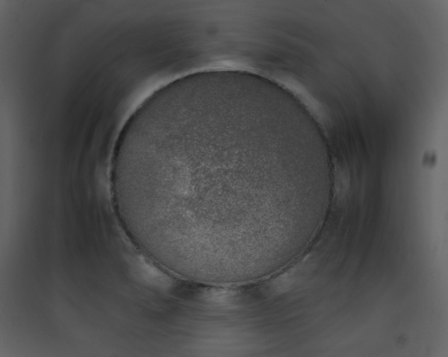 X0000090411278200707131139