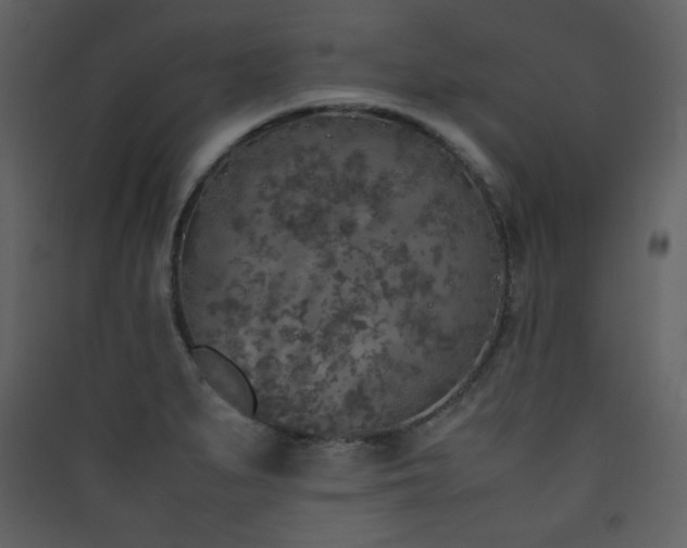 X0000090411279200707131139