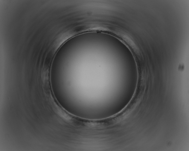 X0000090411281200707131139