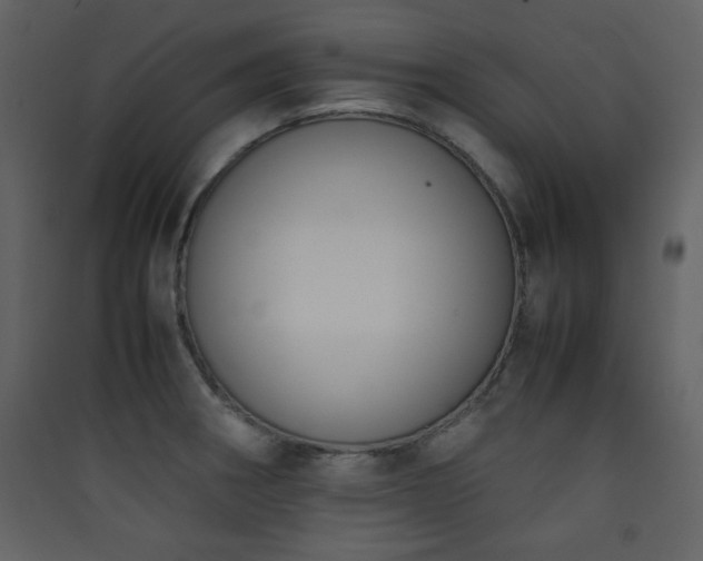 X0000090411282200707131139