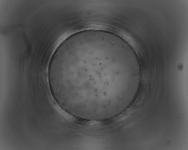 X0000090411283200707131139