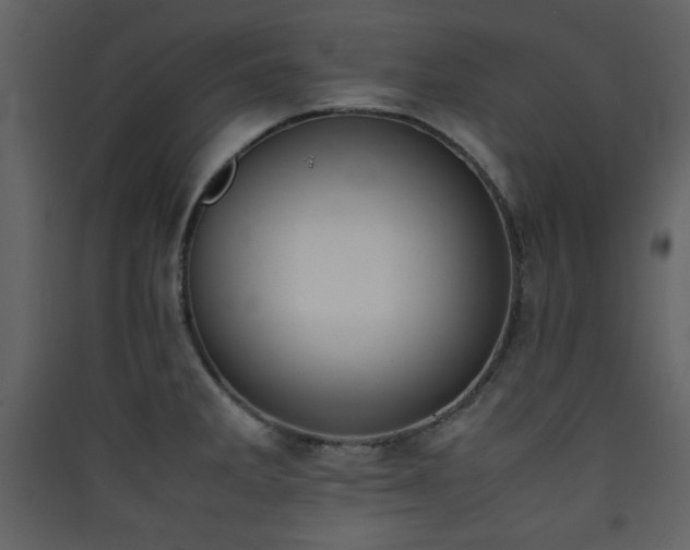 X0000090411285200707131139