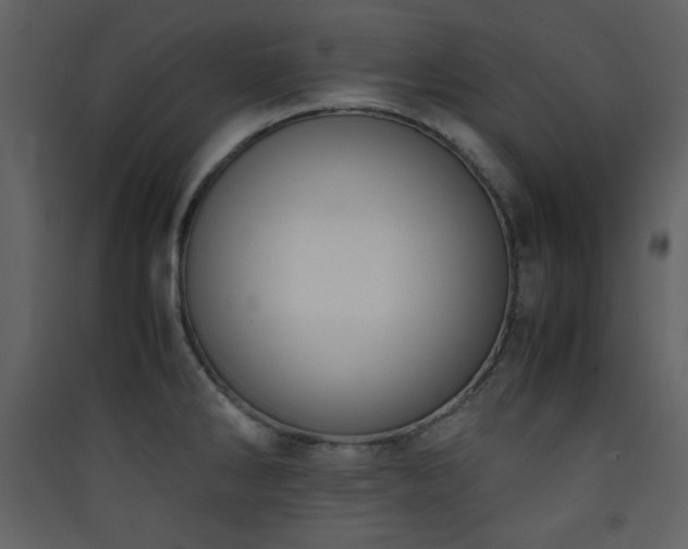 X0000090411286200707131139