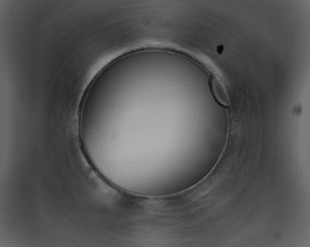 X0000090411287200707131139