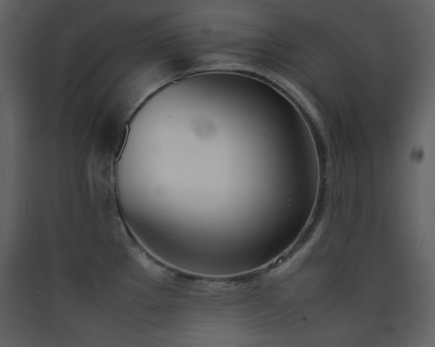 X0000090411289200707131139