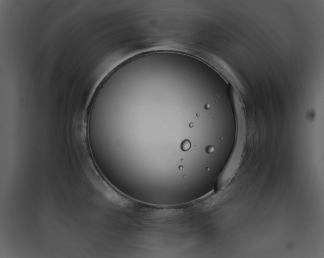 X0000090411292200707131139