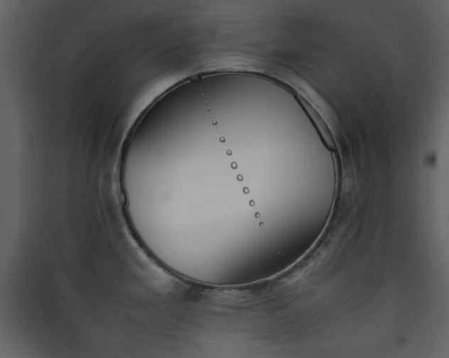 X0000090411293200707131139