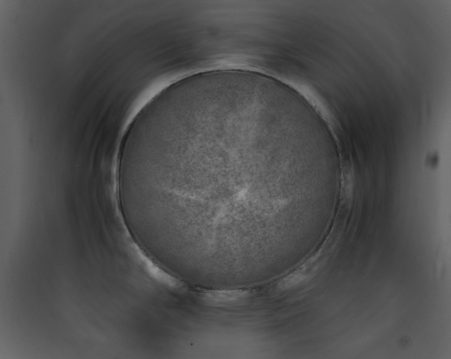X0000090411294200707131139
