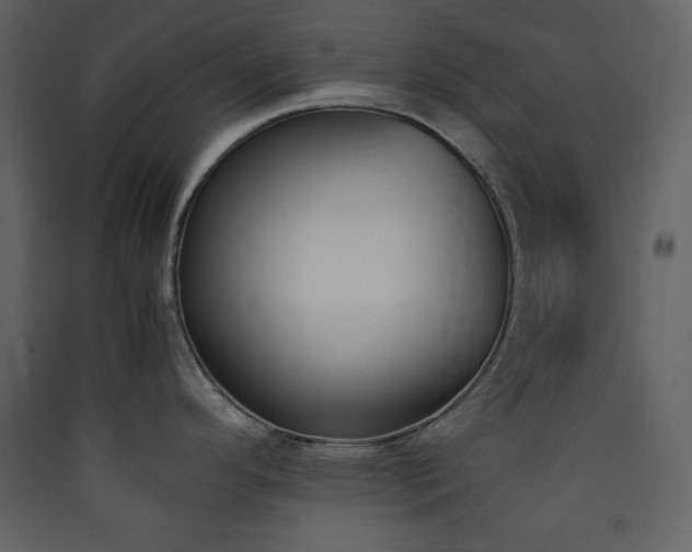 X0000090411296200707131139