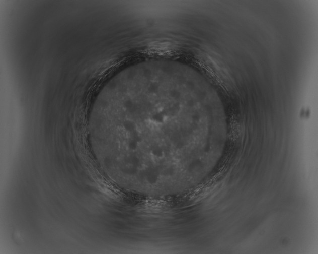 X0000090411297200707131138