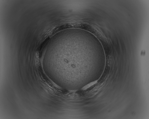 X0000090411298200707131138