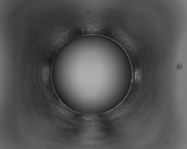 X0000090411299200707131138