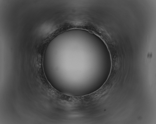 X0000090411301200707131138