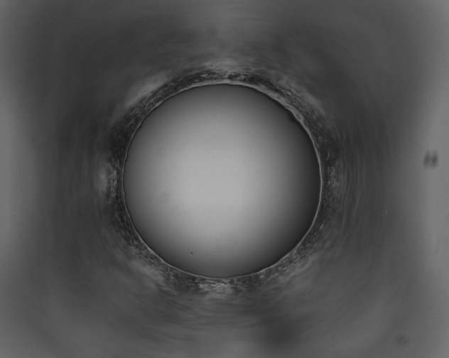 X0000090411302200707131138