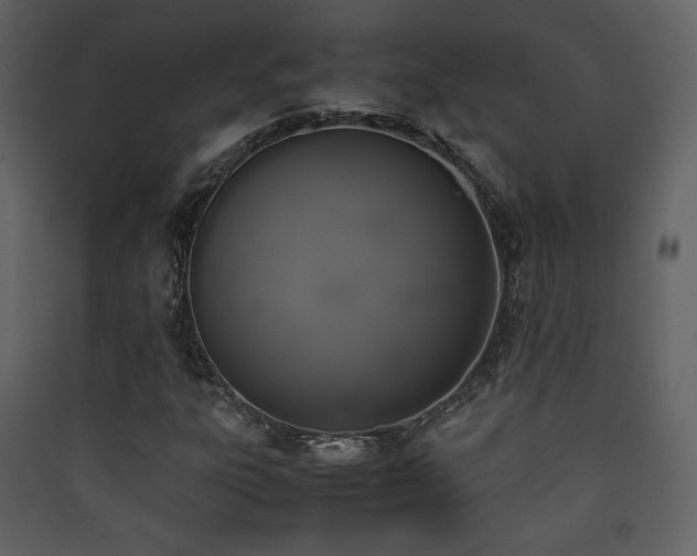 X0000090411303200707131138