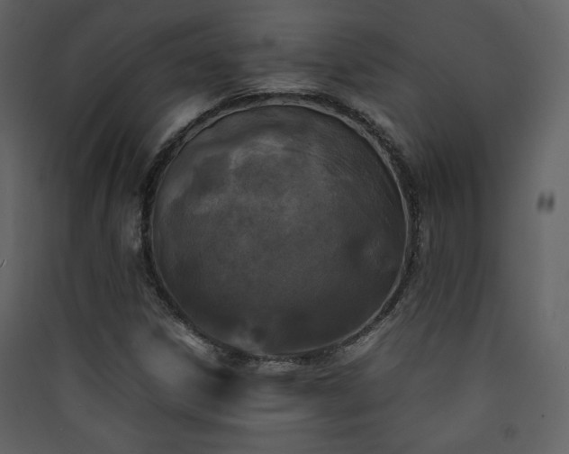 X0000090411306200707131138