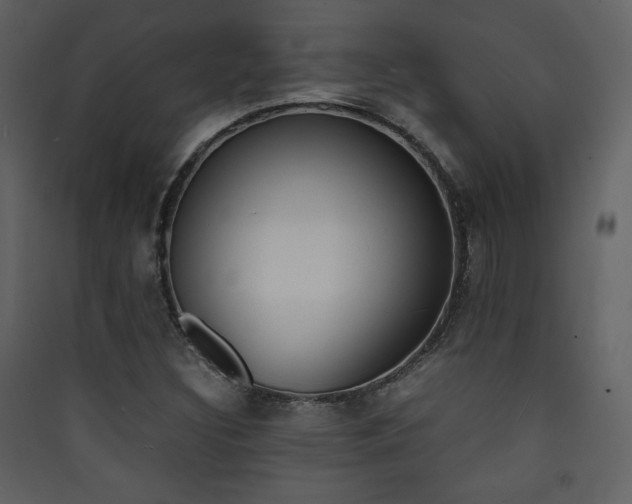 X0000090411308200707131138